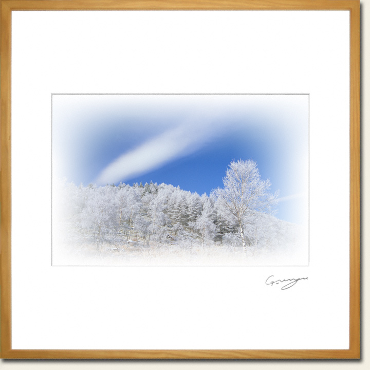 青空に一筋の雲と白樺の樹氷