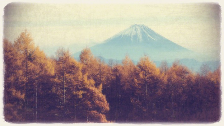 富士山と黄葉のカラマツ林