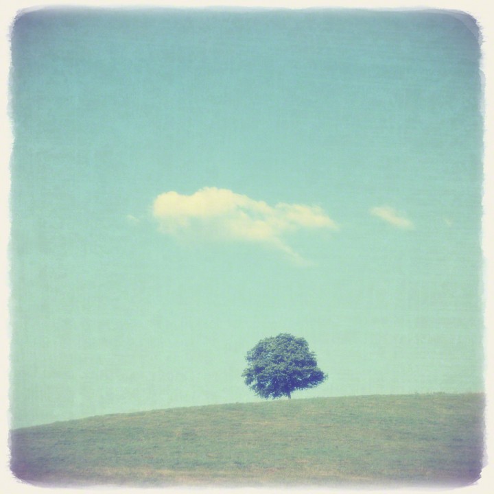 丘の上の木とはぐれ雲