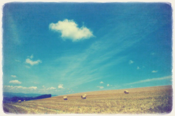牧草ロールの丘と青空に浮かぶ雲